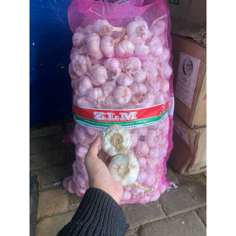 

Bawang putih sinco kotor 1kg