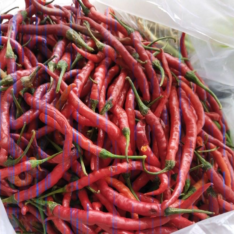 

250gr cabe keriting