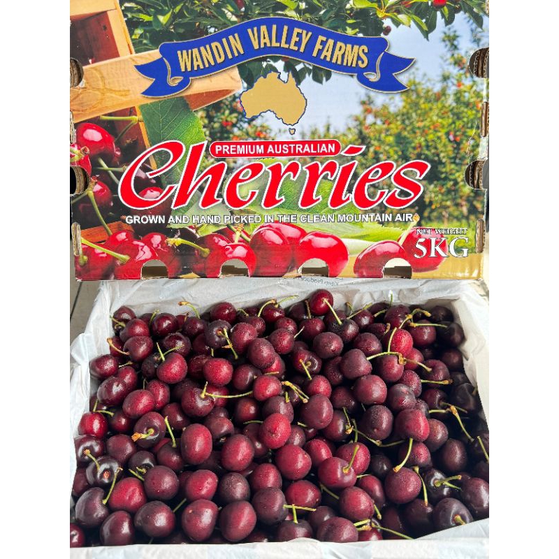 Cherry Fresh Premium Import | Cherry Segar kemasan Giftbox