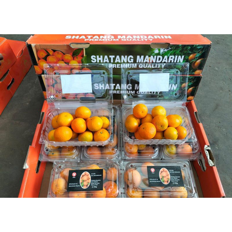 

Jeruk shatang madu yuji berat 750grm / pack