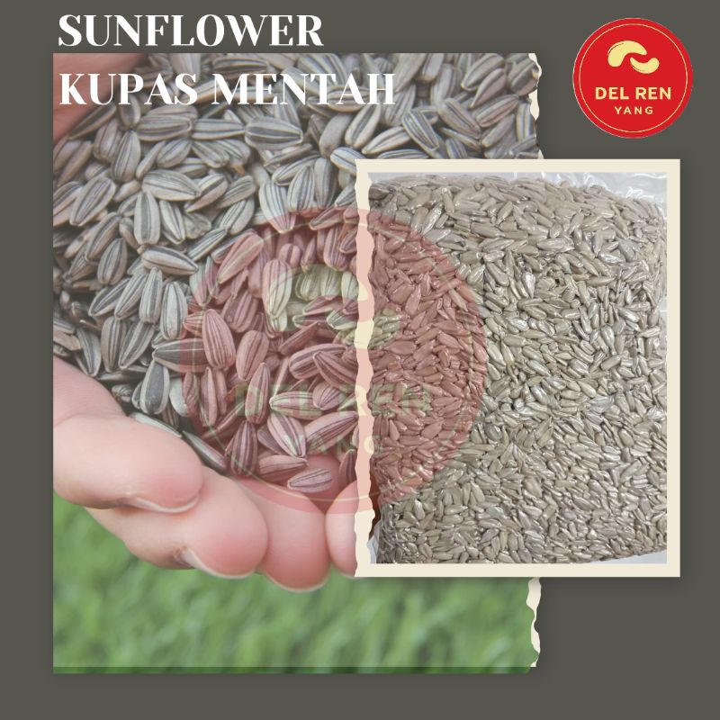 

Sunflower Bunga Matahari/Kuaci Mentah