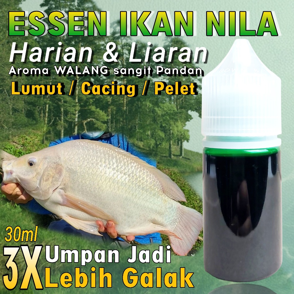 Essen Ikan Nila Media Lumut,Essen Ikan Nila Media Pelet,Essen Ikan Nila Paling Gacor,Essen Ikan Nila