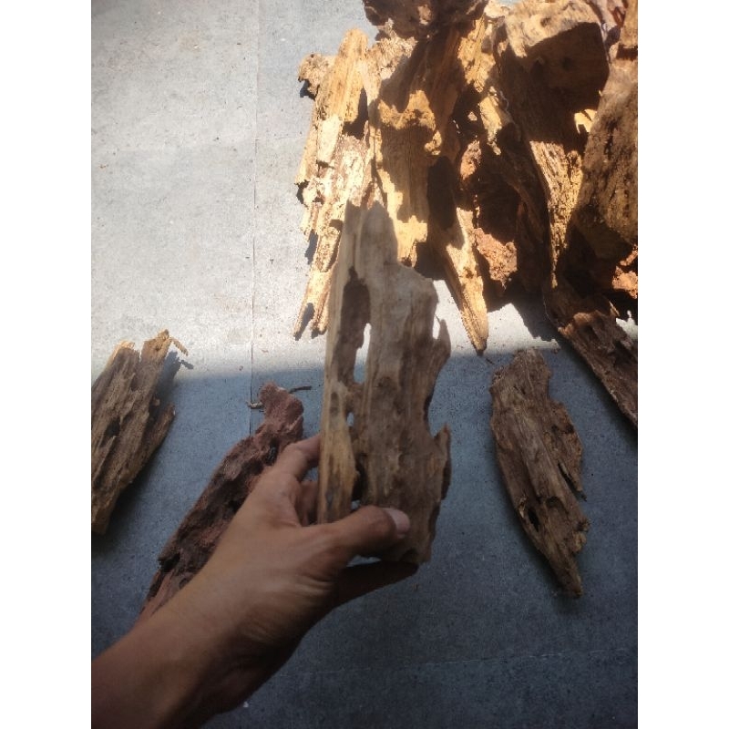 kayu rentek,kayu aquarium