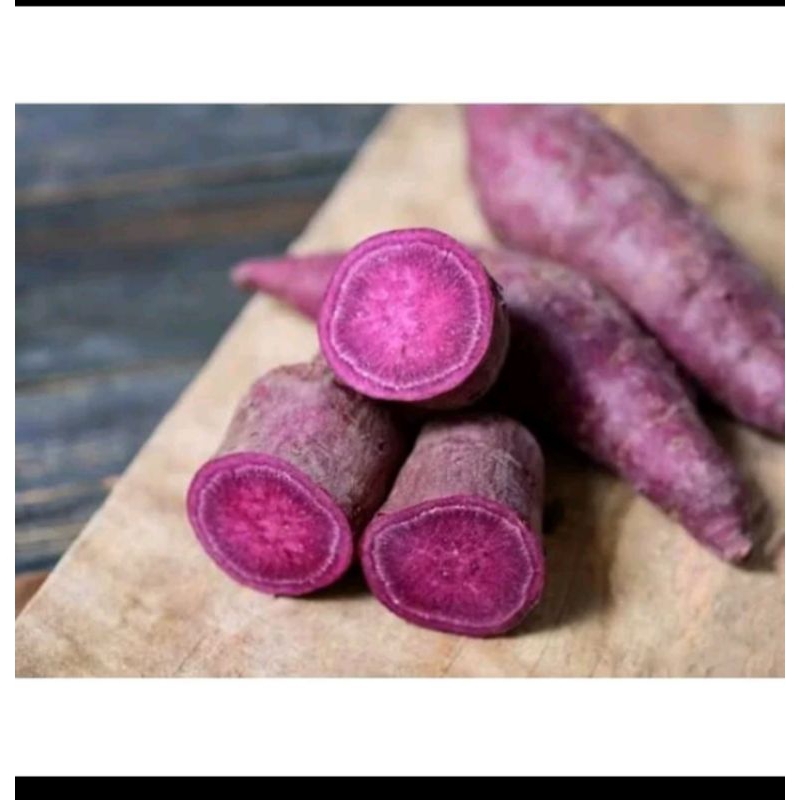 

Umbi tela rambat ungu 1kg