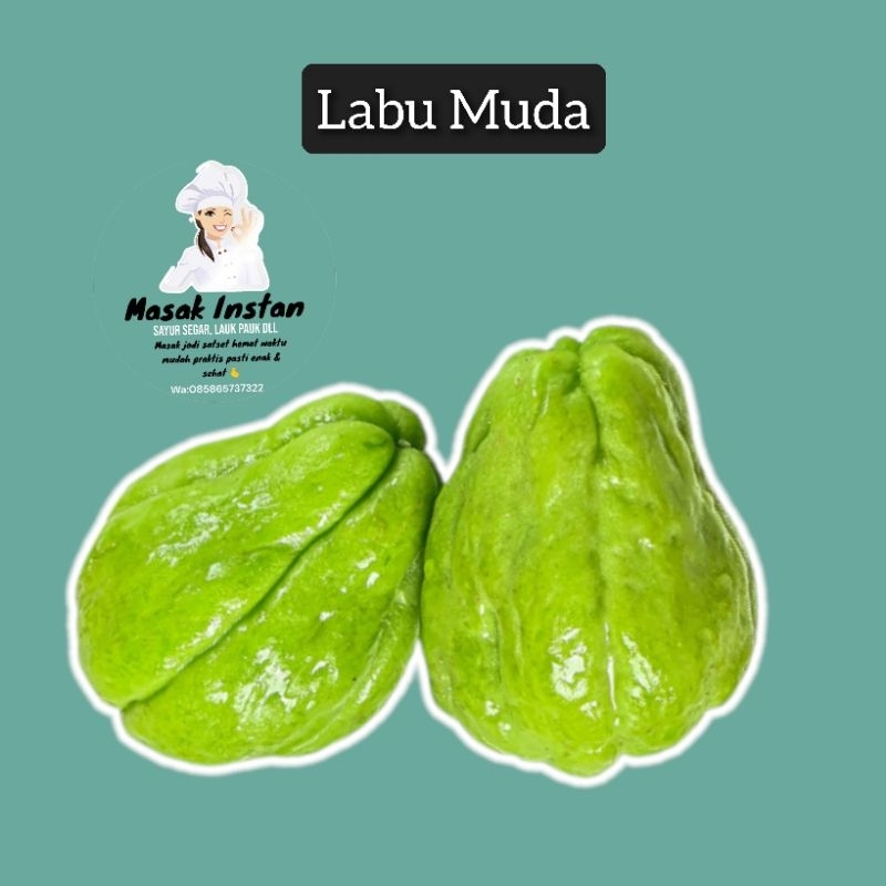 

Labu muda Labu Siam welok waluh sayur segar sayuran sehat makanan