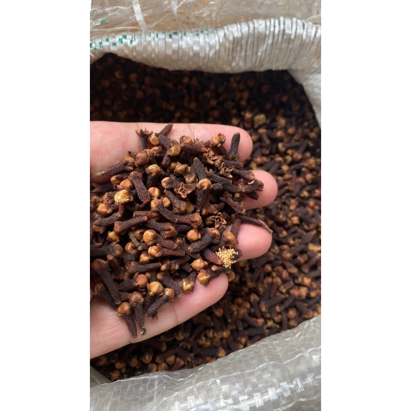 

Cengkeh Kering 100 gram kualitas A