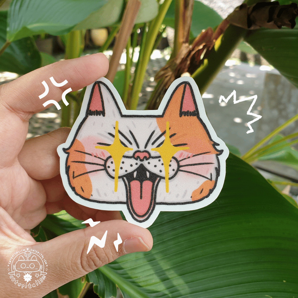 

Angry Cat| Vinyl Sticker | Cutepitalism