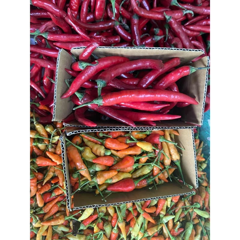 

paket nyambel CABE MERAh BESAR500gr CABE RAWIT500gr