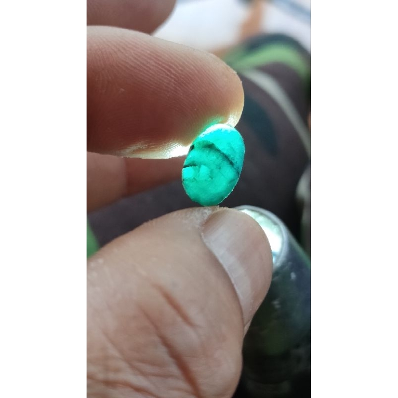 bacan doko gulau kura hijau botol