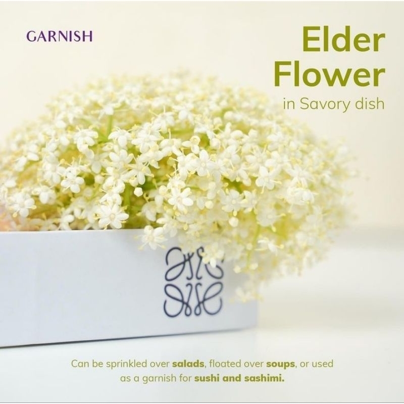 

Elderflower