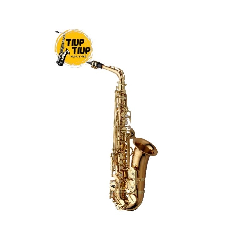 YANAGISAWA ALTO SAXOPHONE (AWO2)