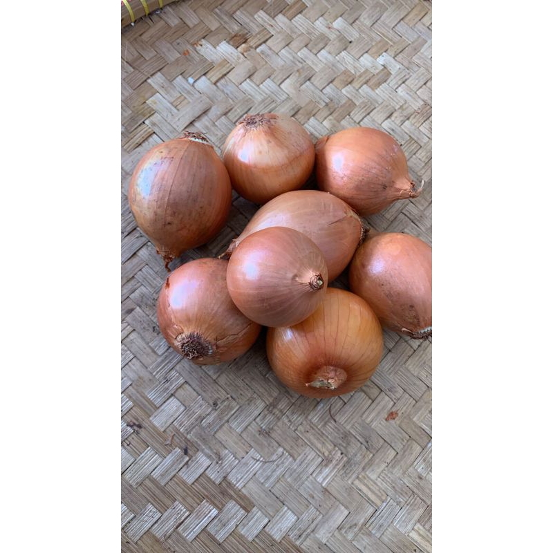 

Bawang bombai import murah meriah