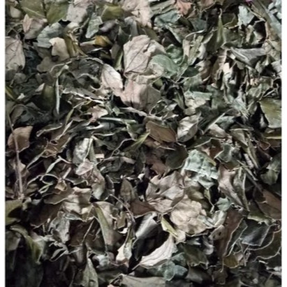 

Daun Bidara Kering 100gr