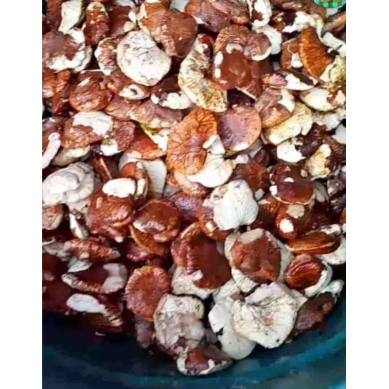 

GAYAM KUPAS KEMASAN 1 kg lokasi surabaya