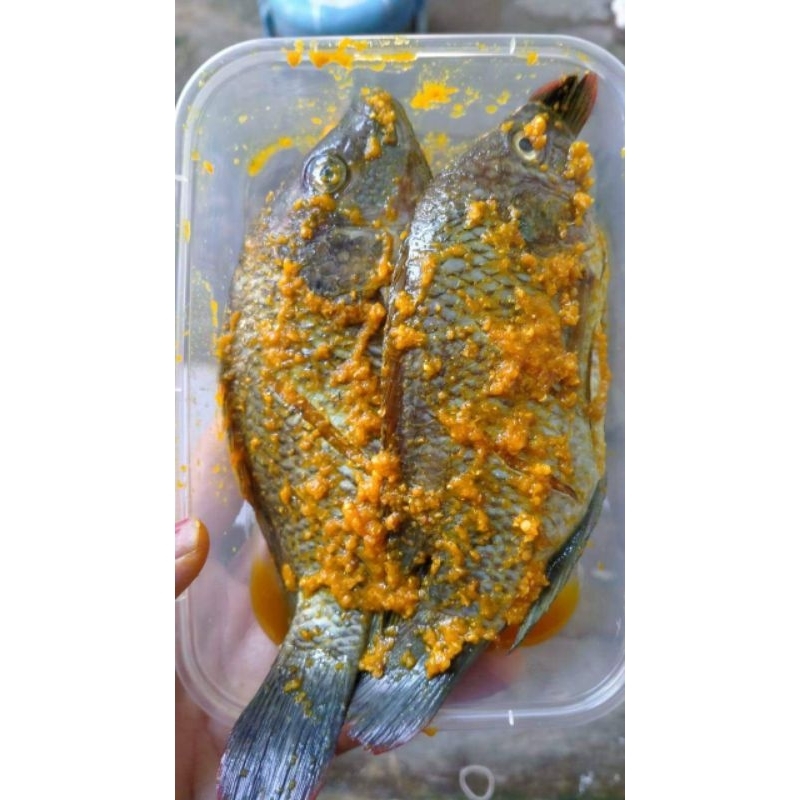 

IKAN Mujaer Marinasi | Ikan mujaer Bumbu kuning