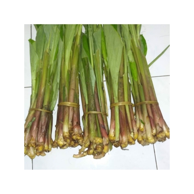 

sayur boros segarrr fres