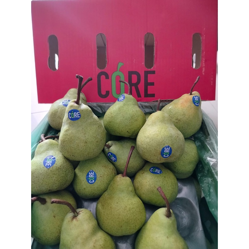 

PEAR PACKHAM HIJAU CORE PREMIUM & PEAR CENTURY IMPORT (Ready)