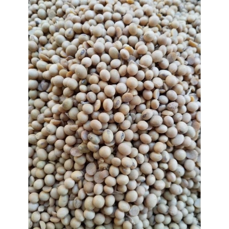 

kacang kedelai 250 gr