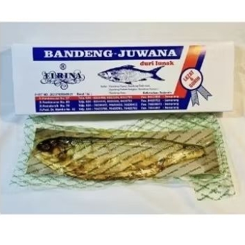 

BANDENG VACCUM BASAH SPESIAL (ketahan 30 hari)