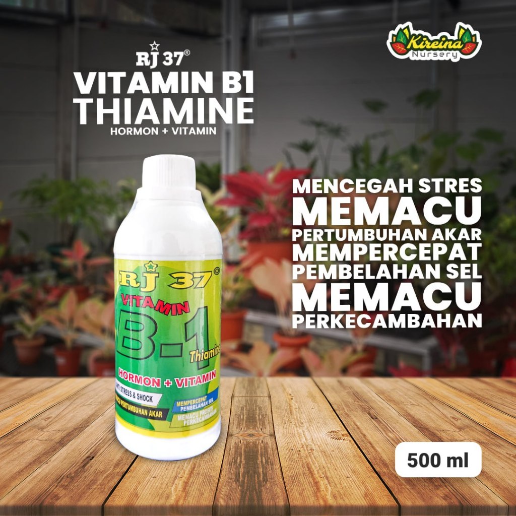 Vitamin B1 RJ 37 500ml