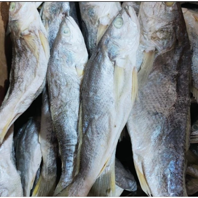 

Ikan Asin Samge panjang / Ikan Asin sanggee panjang medan 250gr 500gr