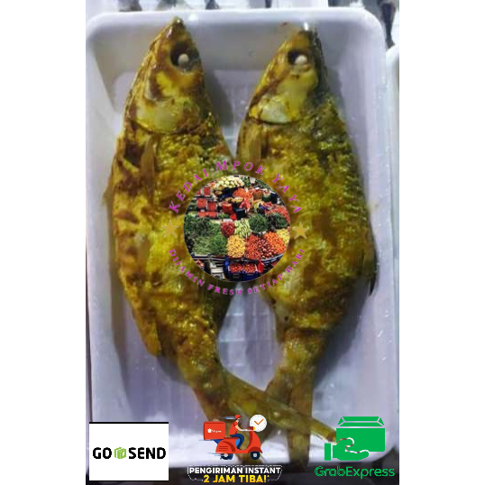 

IKAN BANDENNG PRESTO 1 PACK ISI 2 EKOR