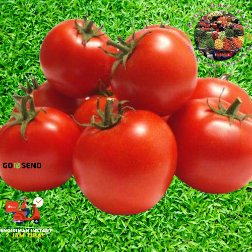 

TOMAT MERAH FRESH