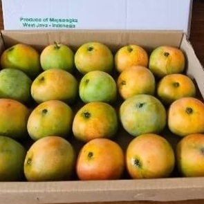 

Mangga Gedong Gincu 1 Kg