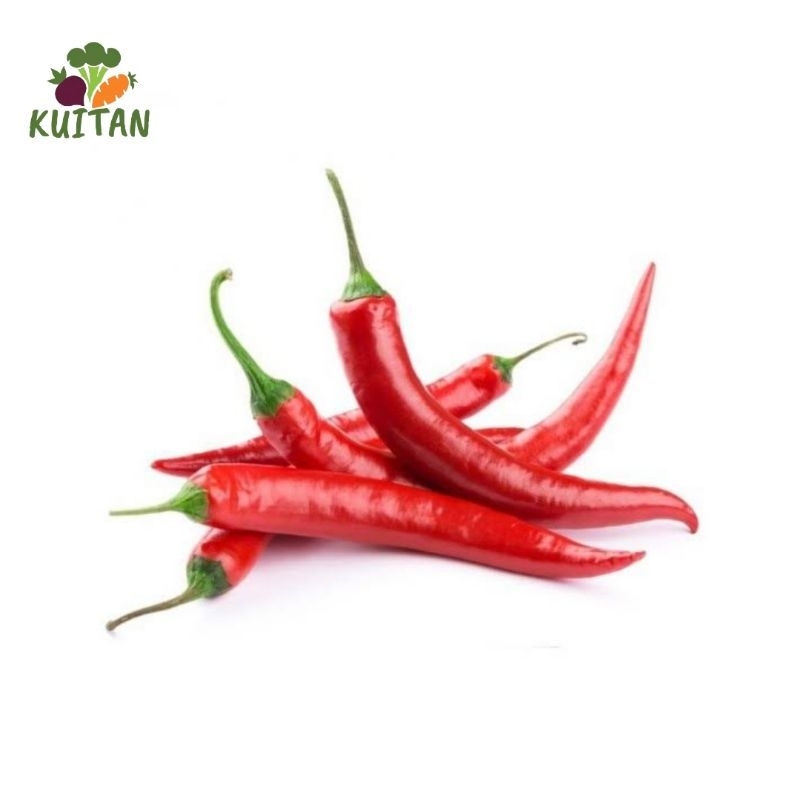 

cabai merah besar 250gr, 500gr, 1000gr