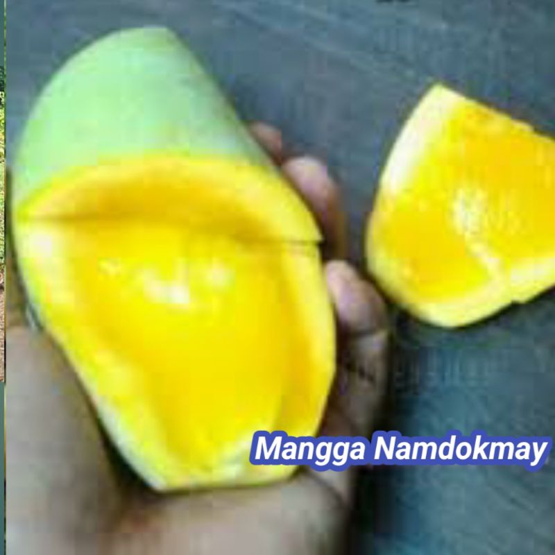 

MANGGA Namdokmay 1 KG