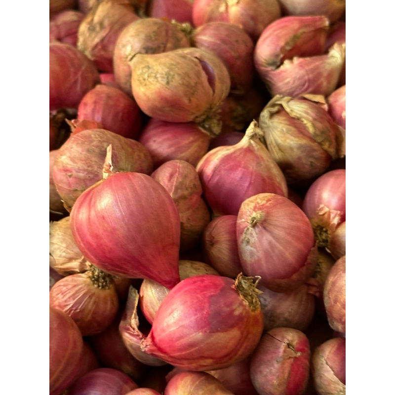 

Bawang Merah Segar 1kg