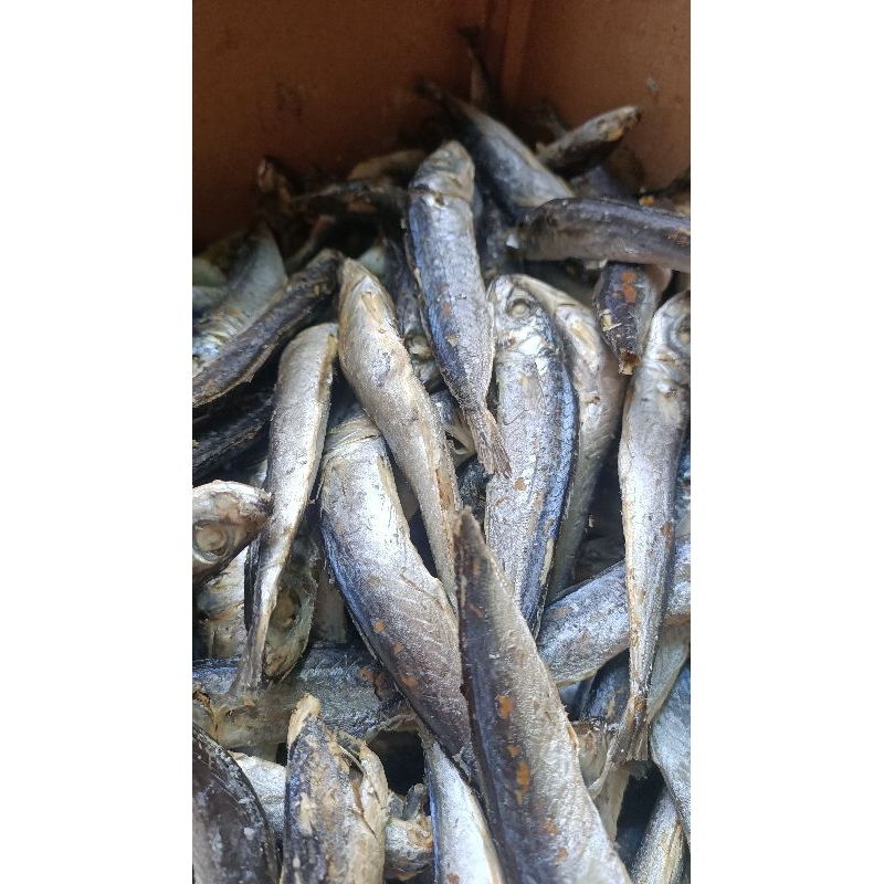 

Ikan Asin Layang Rebusan 250gram-1kg