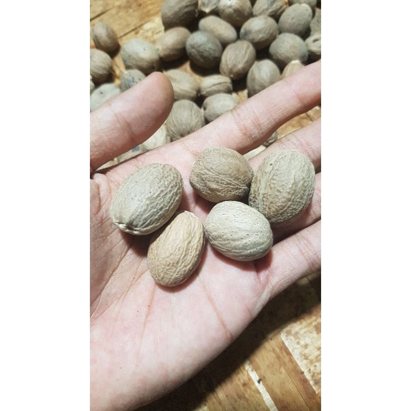 

biji pala kering lokal 300 gram. Sudah kupas cangkangnya . rempah terbaik termurah the best seller termurah harga grosir dan eceran