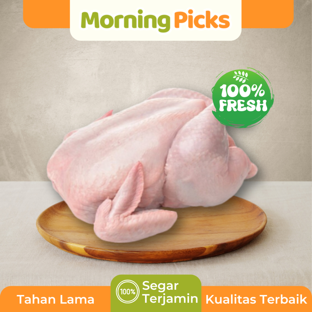 

Ayam Boiler / Broiler / Negeri Potong Fresh Morning Picks