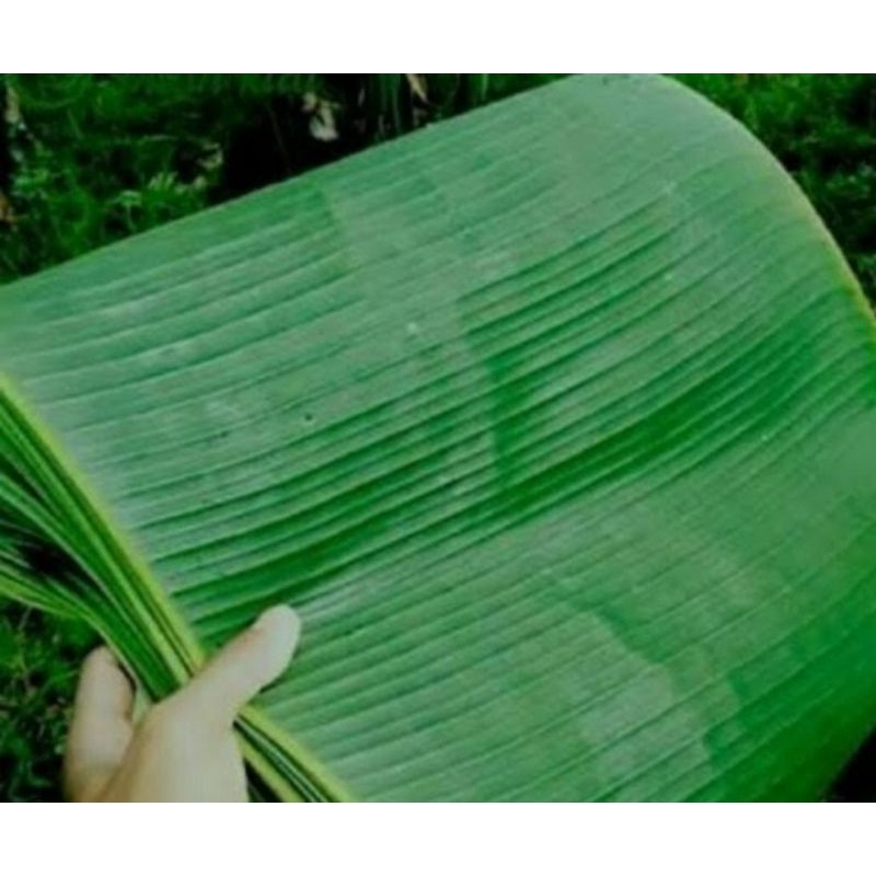 

daun pisang kepok 500gr