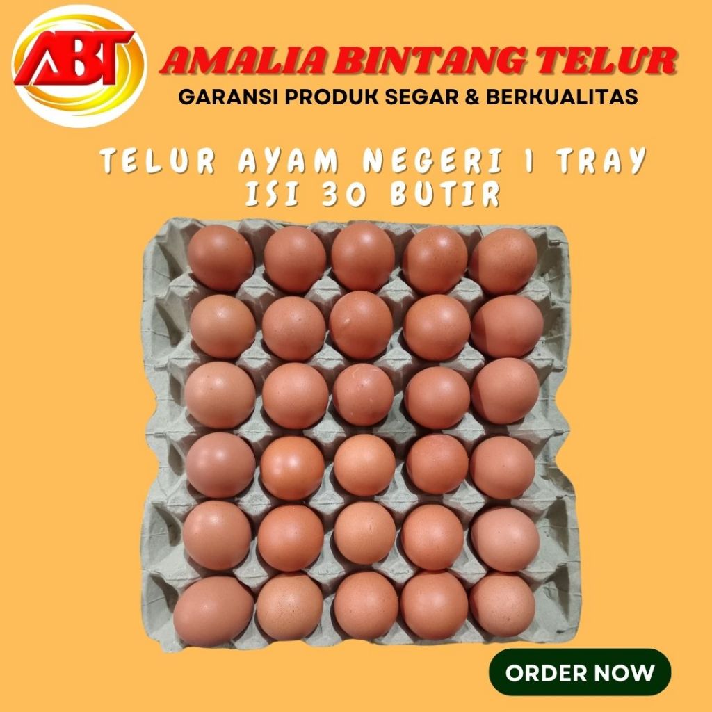 

Telur Ayam Negeri 1 Tray isi 30 Butir