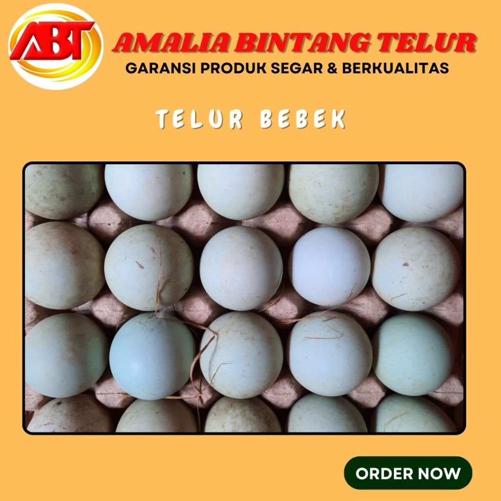 

Telur Bebek