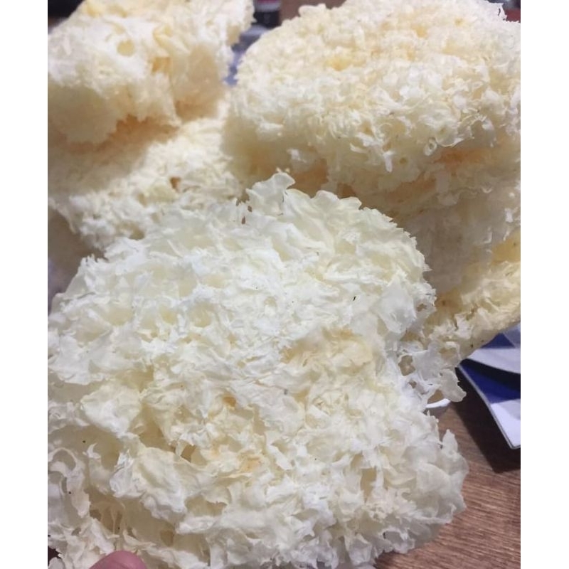 

Jamur salju kering 20gram bukan per buah halal snow fungus white fungus jamur kuping putih jamur es kering jamur putih kering