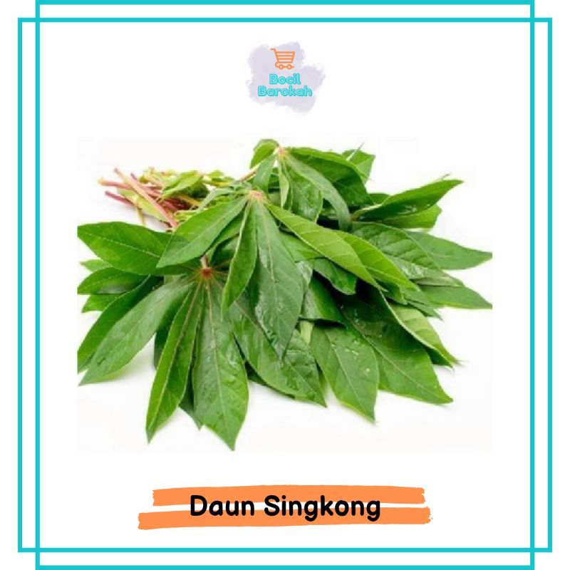 

DAUN SINGKONG 1 IKAT