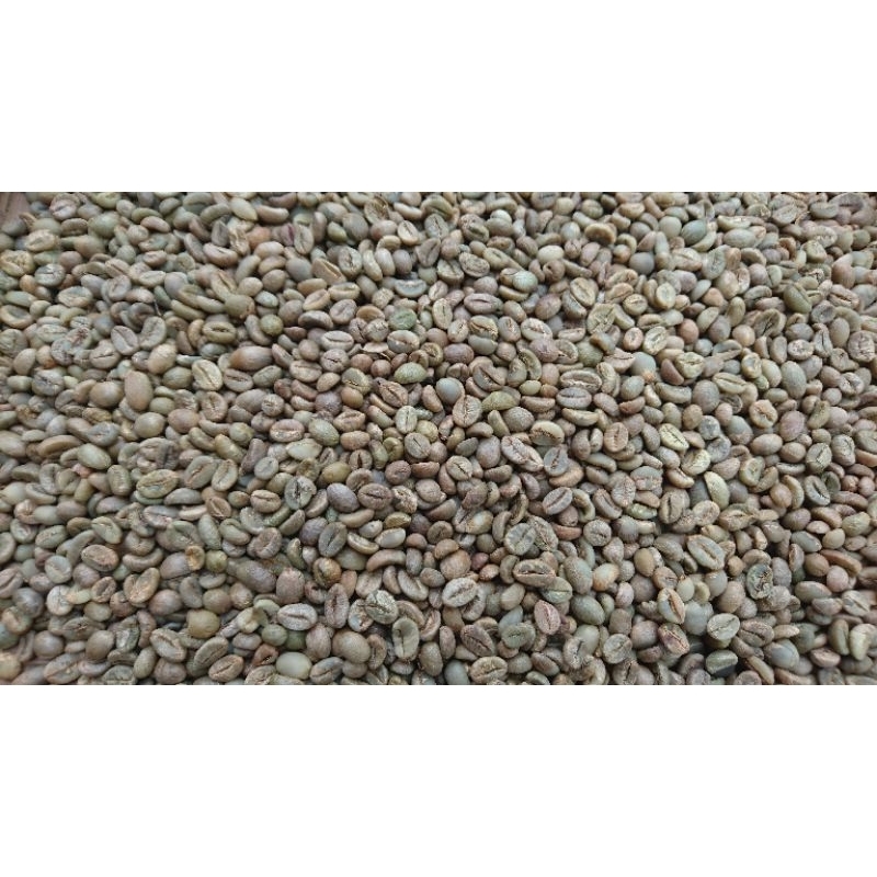 

Kopi luwak green beans