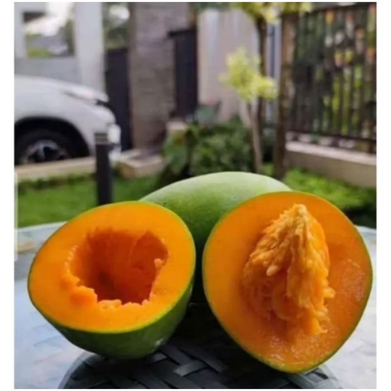 

Magga Alpukat super Arummanis Fresh