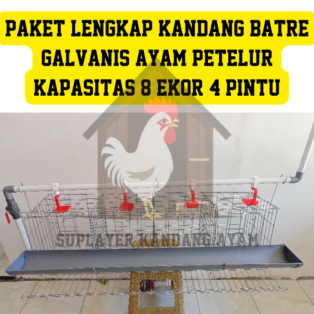 Kandang Ayam Petelur Full Set Kapasitas 8 Ekor