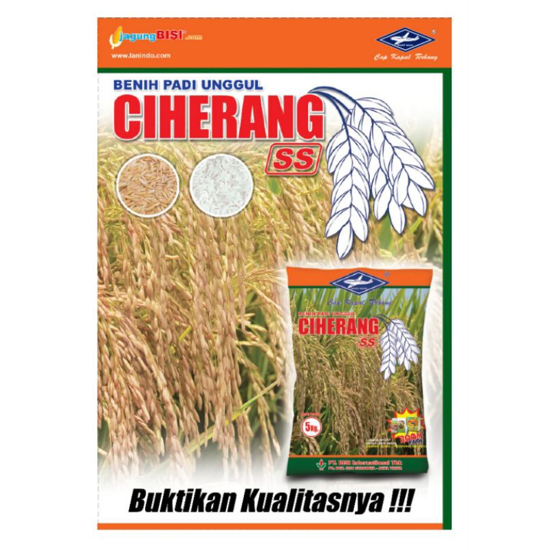 Benih bibit padi Ciherang Bisi 5 Kg/Benih pari/Cap kapal terbang/Bibit Ciherang