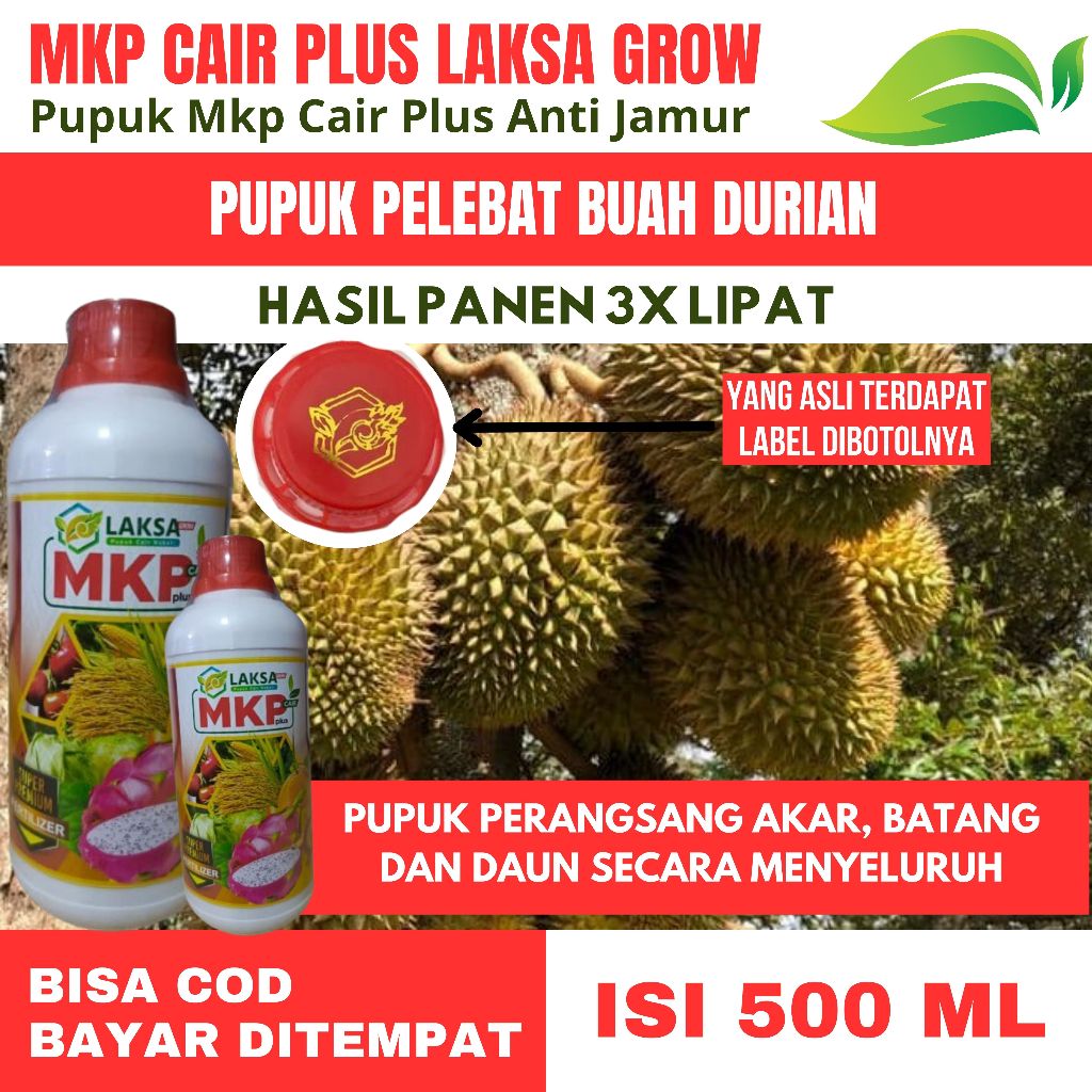 OBAT PELEBAT POHON DURIAN HASIL PANEN LEBIH BANYAK PUPUK MKP CAIR PLUS LAKSA