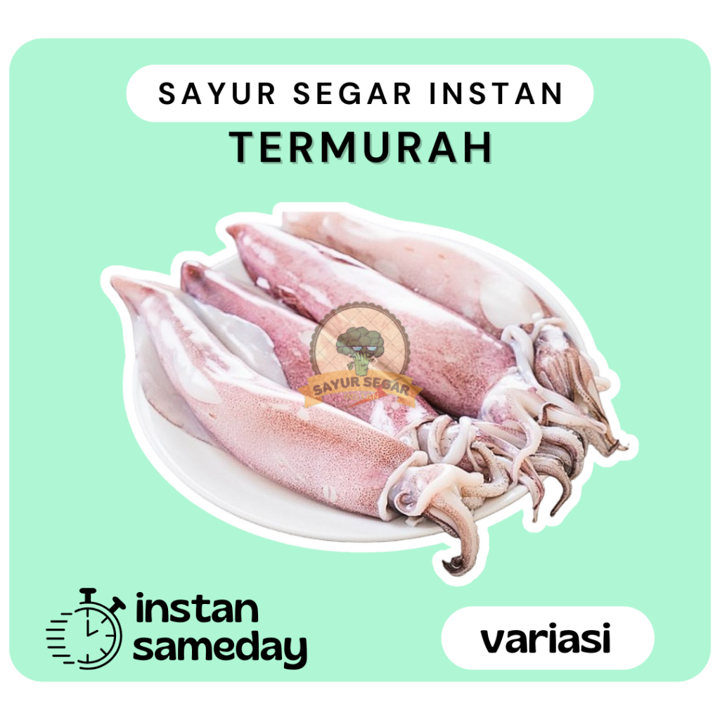 

Cumi Besar Segar - Sayursegarinstan