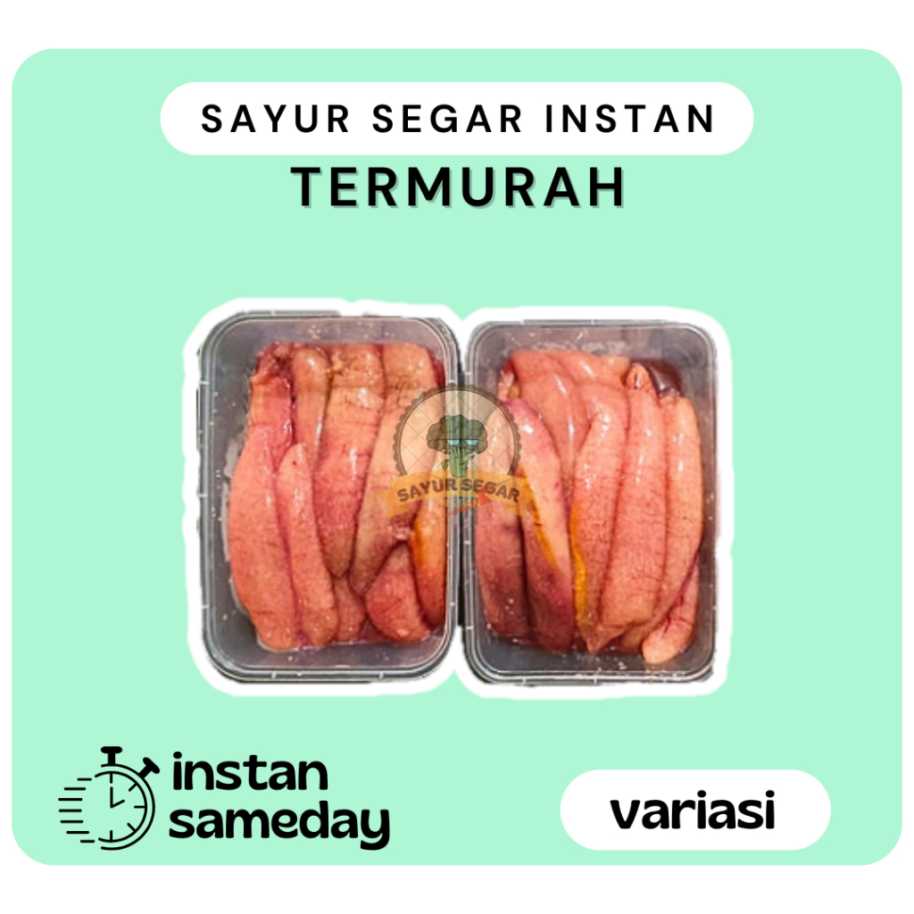 

Telur Ikan Tenggiri Segar
