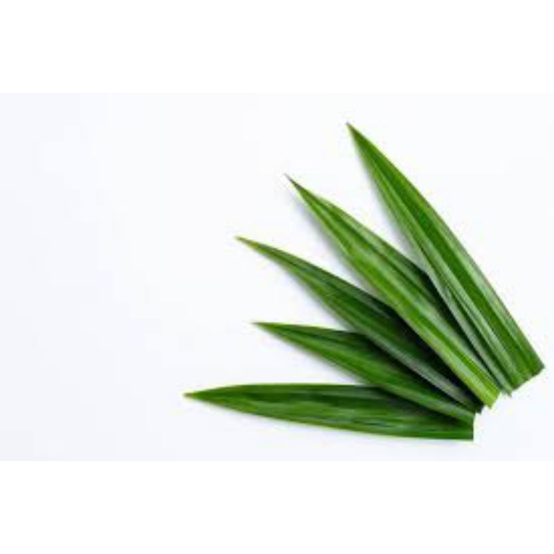 

daun pandan wangi