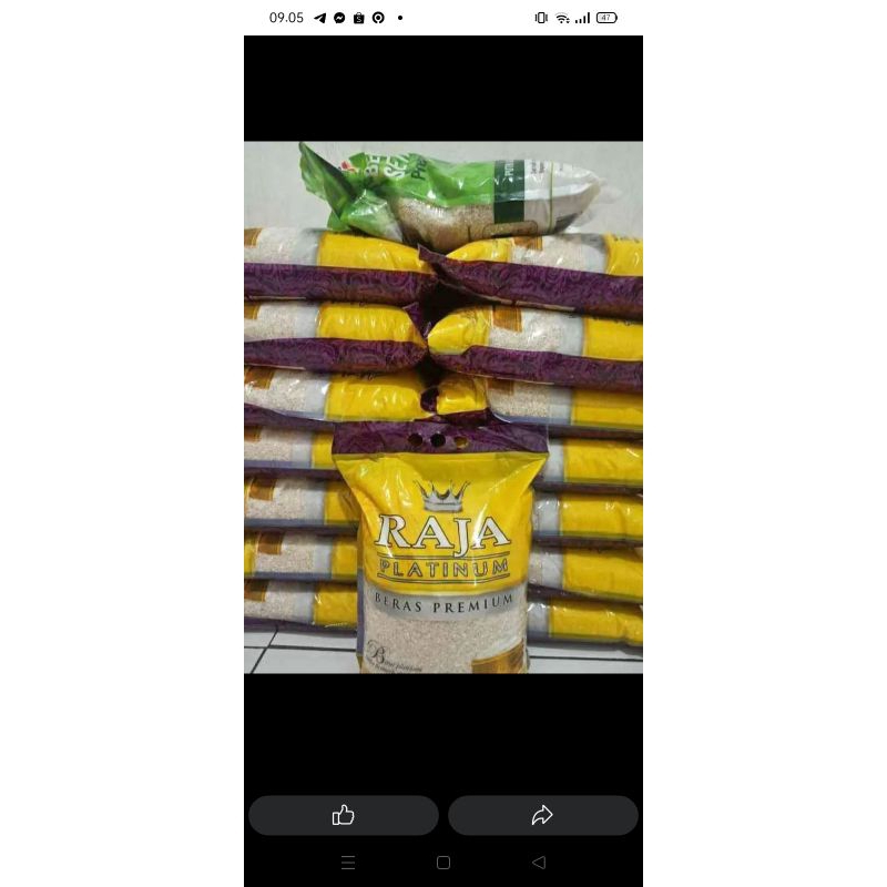 

beras raja platinum