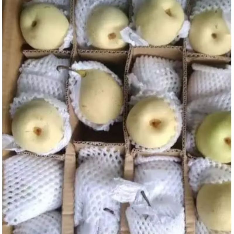 

Buah Pear Yali/Pear Yalie 1 kg