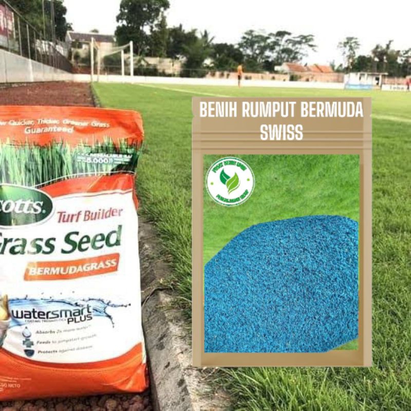 

Scotts Grass Seed Bermuda SWISS kemasan 100gram